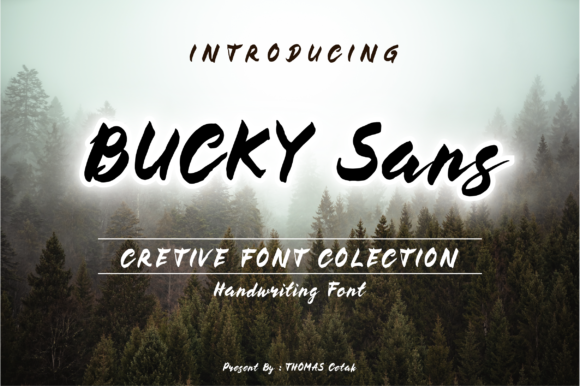 Bucky: A Retro Brush Font for Timeless Brand Identity