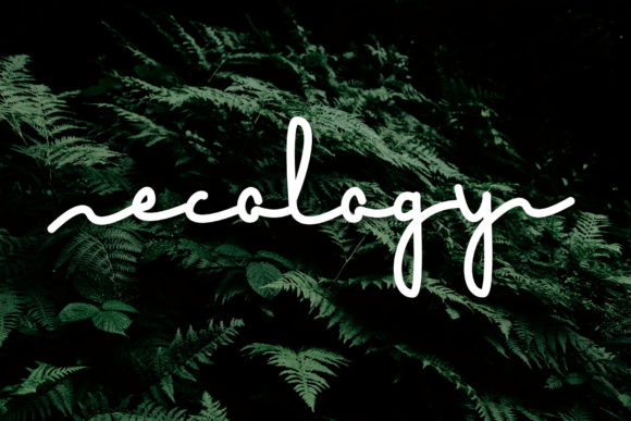 Ecology: A Handwritten Font That Elevates Modern Web Design