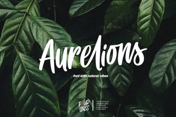 Elevate Your Handmade Business with the Aurelions Script Font