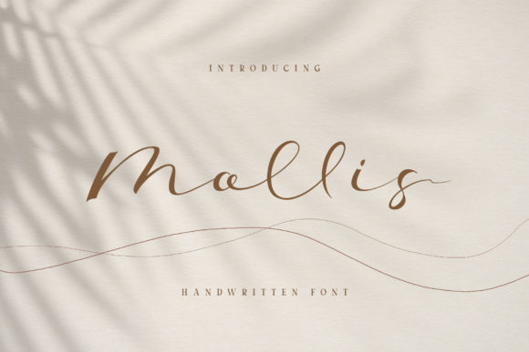 Mollis: The Elegant Script Font for Polished Branding