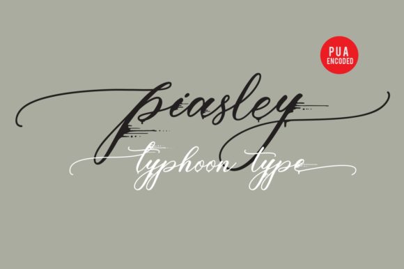 Piasley: A Premium Script Font for Polished Branding