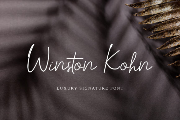 Winston Kohn: A Delicate Script Font for Modern Web Design Projects